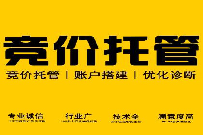 某品牌SEM广告投放的优化过程与效果